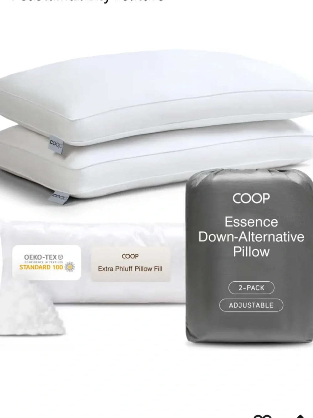 Coop Home Goods Essence Down Alternative Pillow Set of 2, Queen Size 072